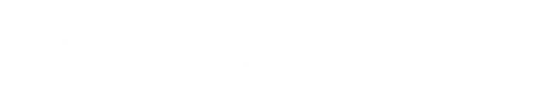 Real Auto – The Van Company